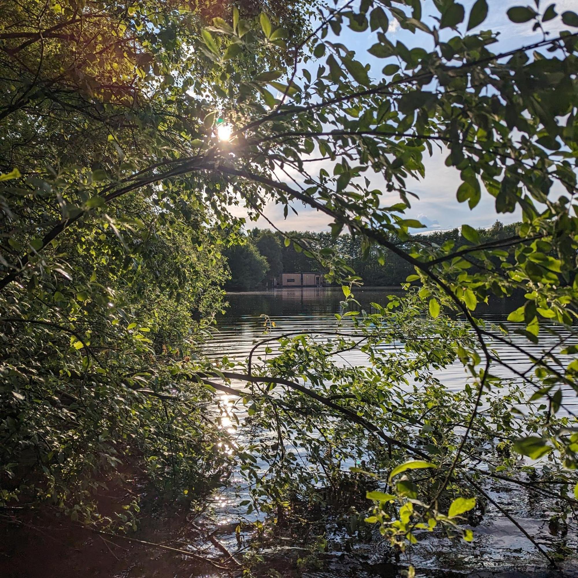 Hausboot Lena Hotel Папенбург Екстериор снимка
